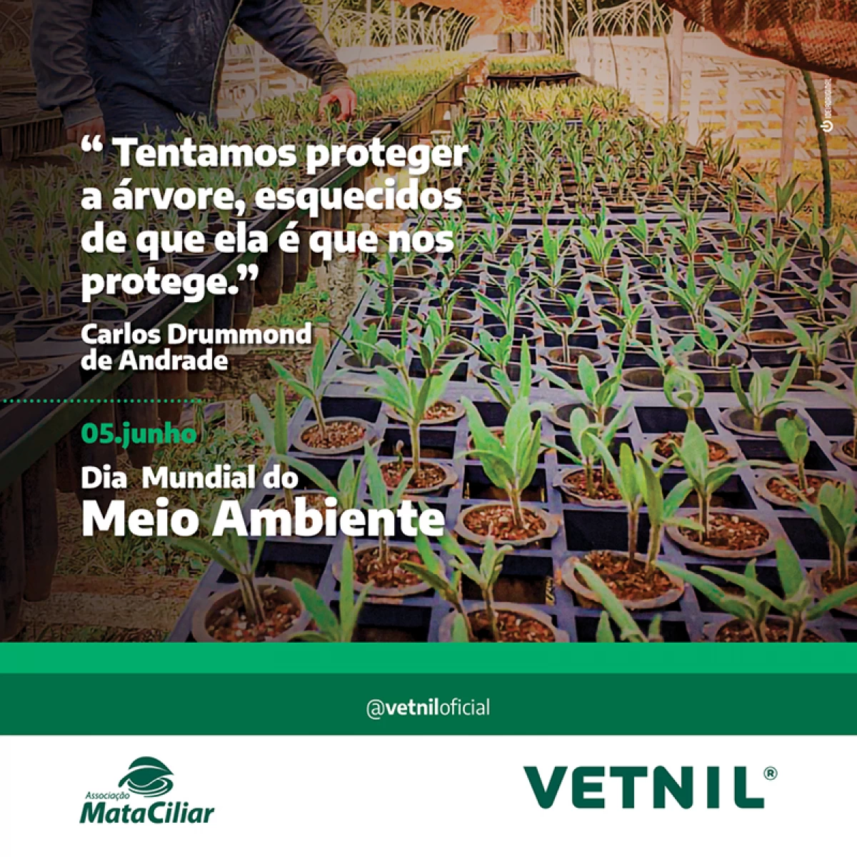 05 de Junho - Dia Mundial do Meio Ambiente