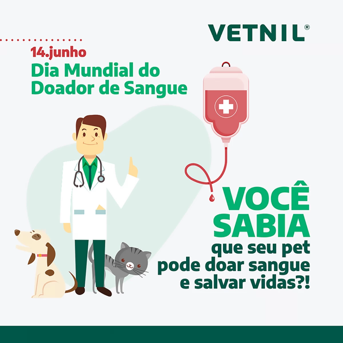 14 de Junho - Dia Mundial do Doador de Sangue - Pets