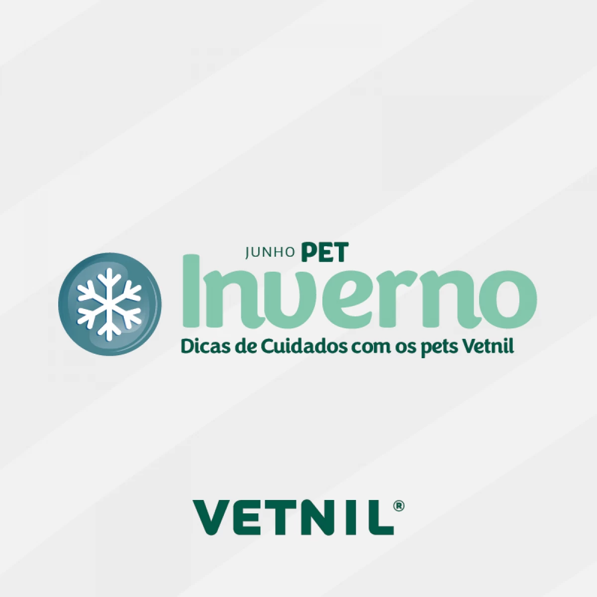 Campanha Junho Pet Inverno