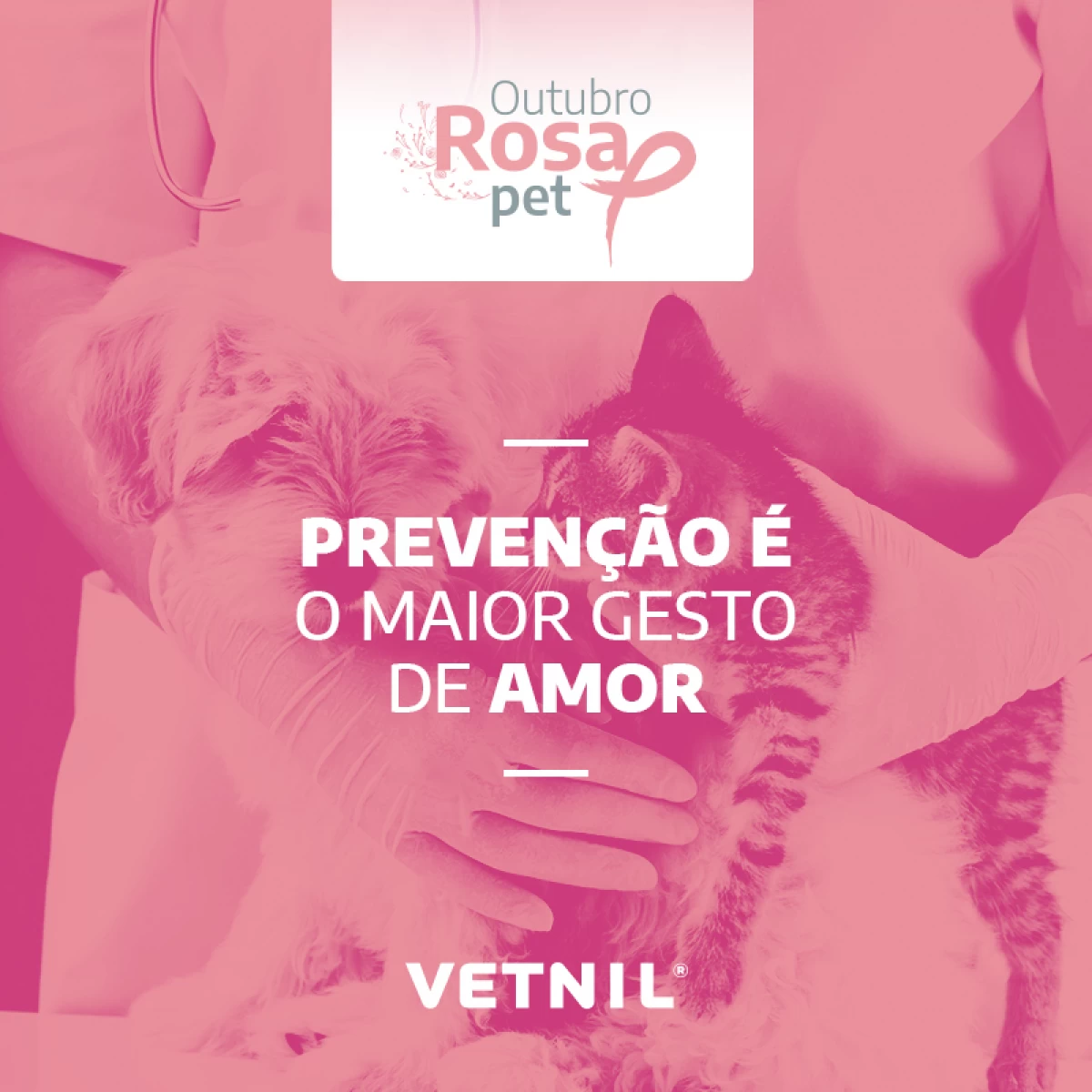 Campanha Outubro Pet Rosa