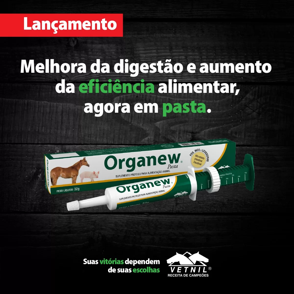 Lançamento Organew® Pasta