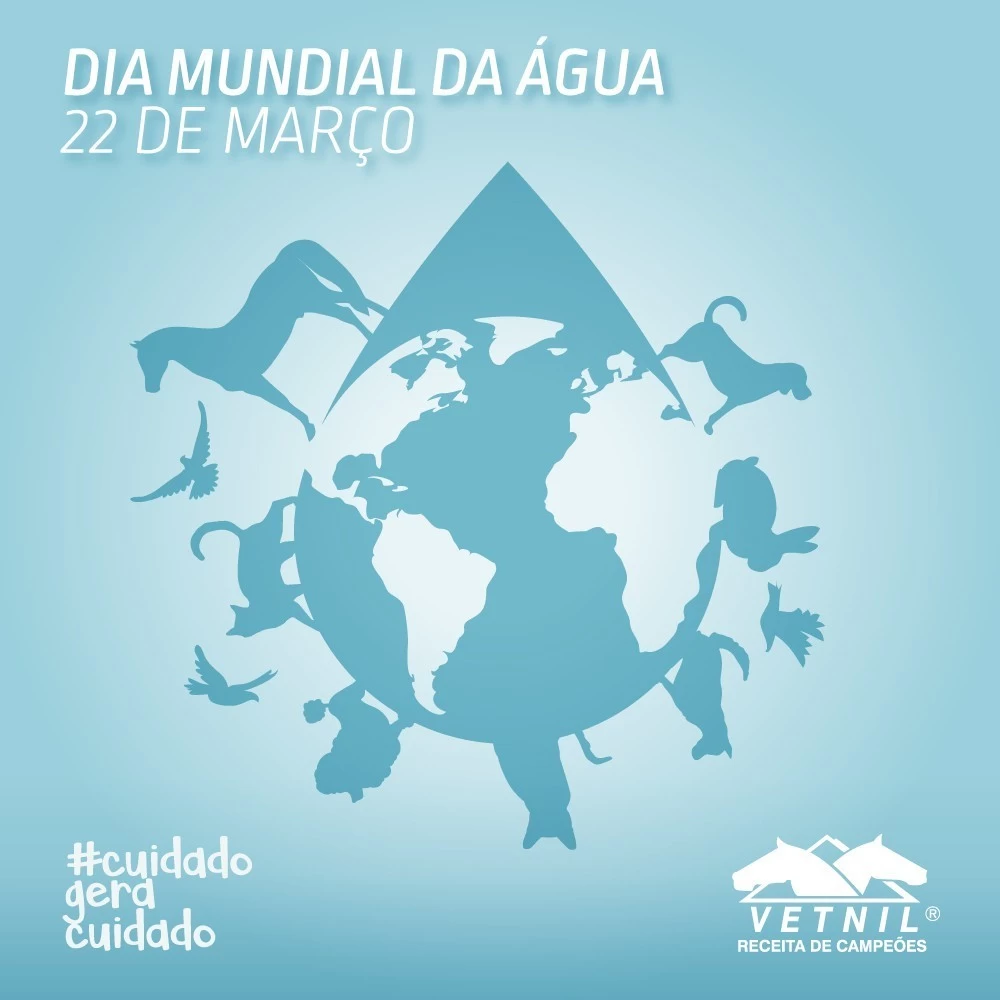 22 de Março - Dia Mundial da Água