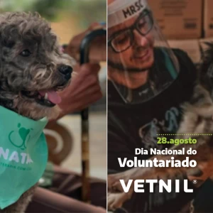 28 de Agosto - Dia Nacional do Voluntariado