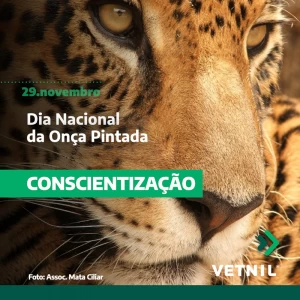 29 de Novembro - Dia Nacional da Onça Pintada