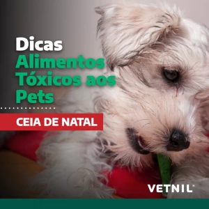 Alimentos Tóxicos aos Pets - Ceia de Natal