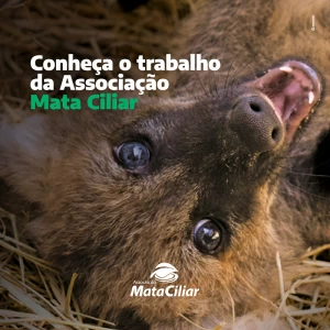 Conheça o Trabalho da Associação Mata Ciliar