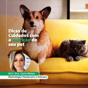 Dicas e Cuidados com a Nutrição do seu Pet