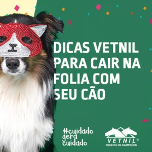 Dicas Vetnil - Carnaval