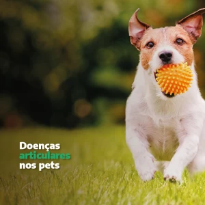 Doenças Articulares nos Pets