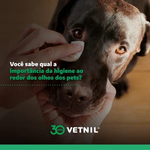 Noticia Vetnil