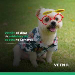 Noticia Vetnil