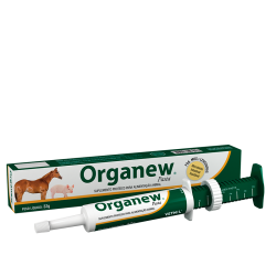 Organew-R-Pasta