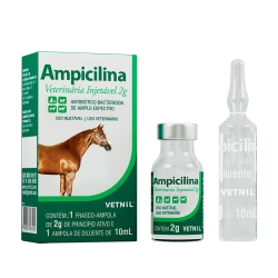 Ampicilina Veterinária Injetável 2g