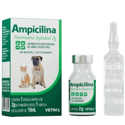 Ampicilina Veterinária Injetável 2g - Pets