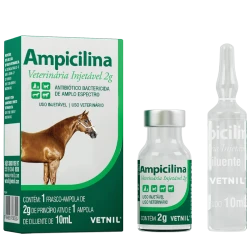 Ampicilina Veterinária Injetável 2g