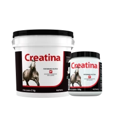 Creatina-R