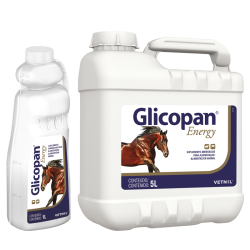 Glicopan-R-Energy