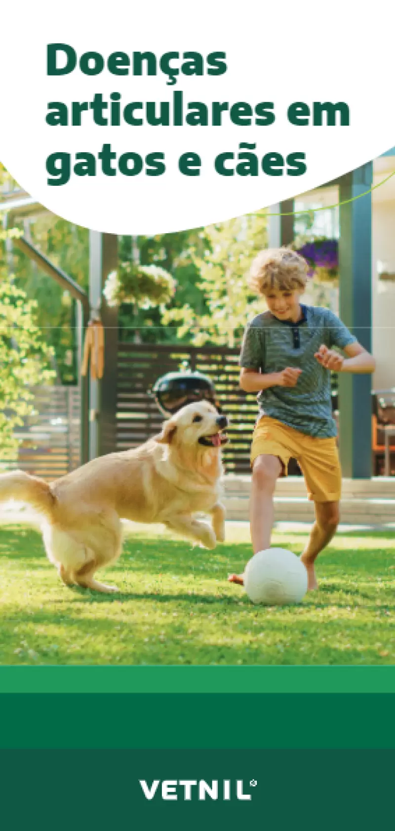 Doenças articulares em cães e gatos