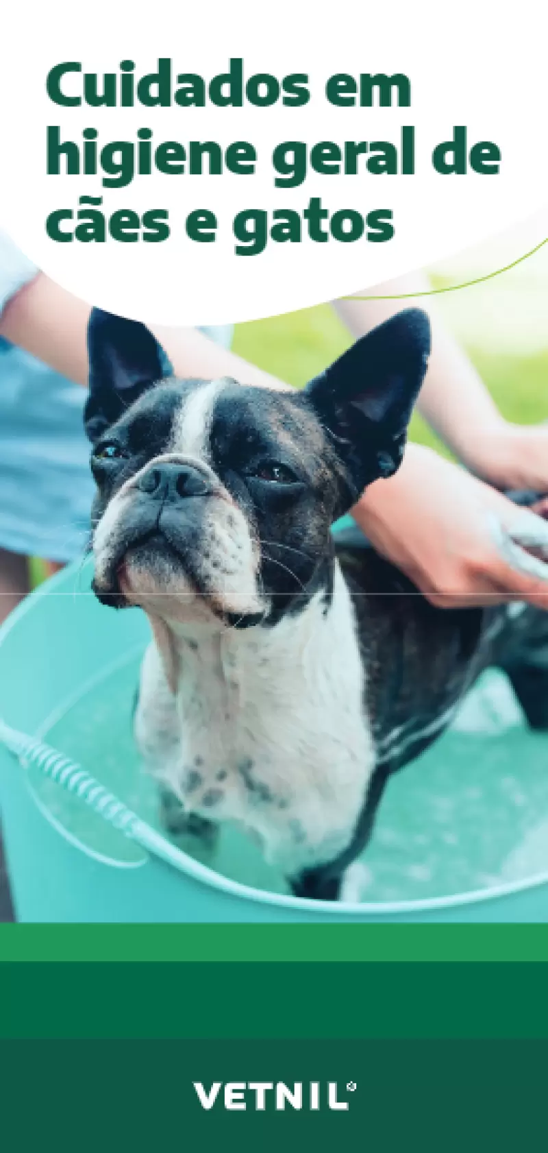 Cuidados em higiene geral de cães e gatos