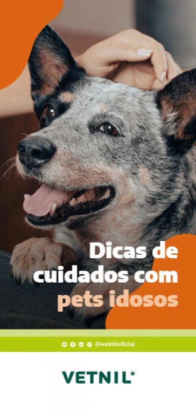 Take one Dicas de cuidados com pet idosos