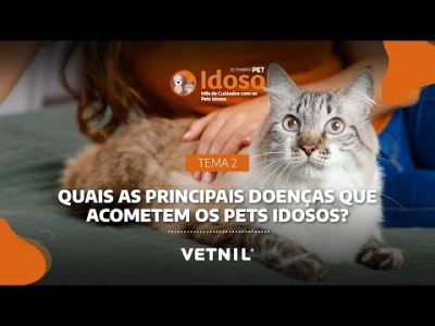 Setembro Pet Idoso - Tema 2