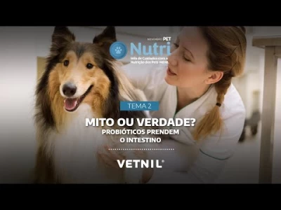 Novembro Pet Nutri – Tema 2