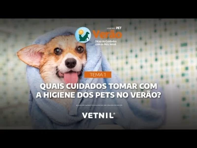 Janeiro Pet Verão - Tema 1