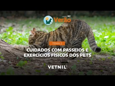 Janeiro Pet Verão - Tema 2