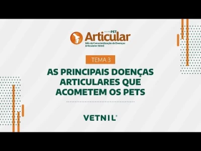 Julho Pet Articular – Tema 3