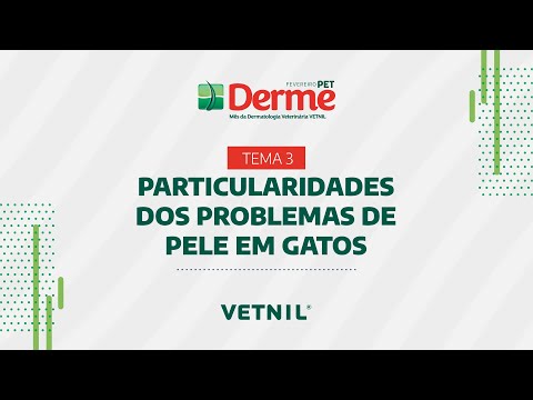 Fevereiro Pet Derme Tema 3