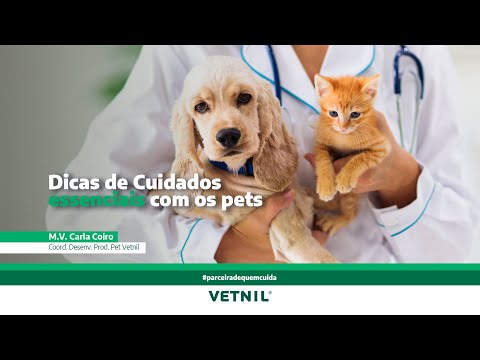 Dicas de cuidados com os pets