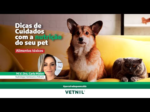 Nutrição Pet - Alimentos Tóxicos