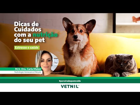 Nutrição Pet - Estresse e saúde