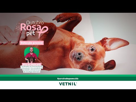 Outubro Rosa Pet – Tema Detecção Precoce