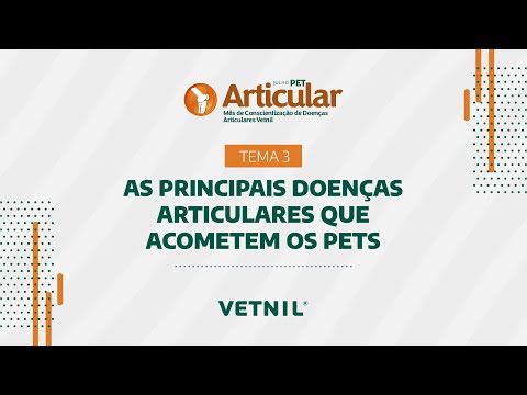 Julho Pet Articular - Tema 3