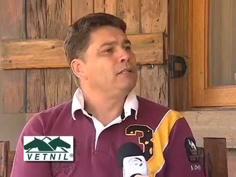 Programa Cavalos Crioulos: Plantão Veterinário