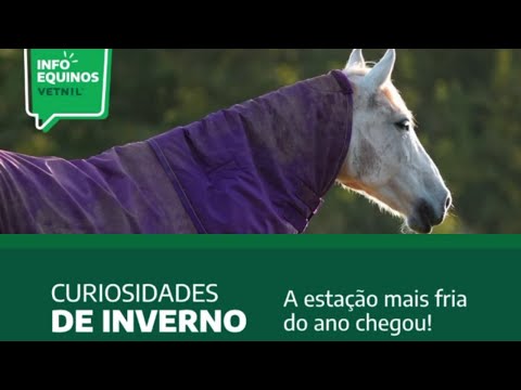 Info Equinos Vetnil | Curiosidades de Inverno