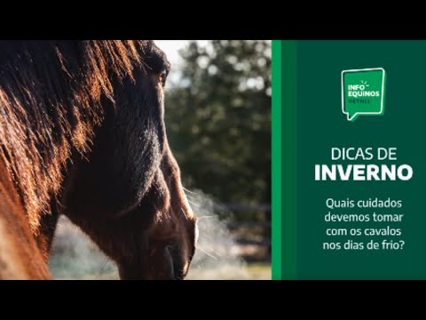 Info Equinos Vetnil | Dicas de Inverno