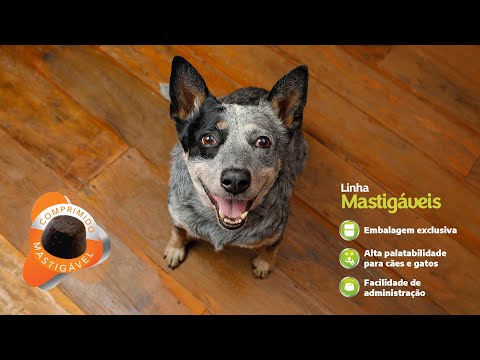 Geripet® Mastigáveis - Diversão e cuidado na melhor idade!