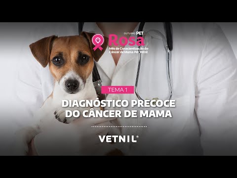 Outubro Pet Rosa - Tema 1