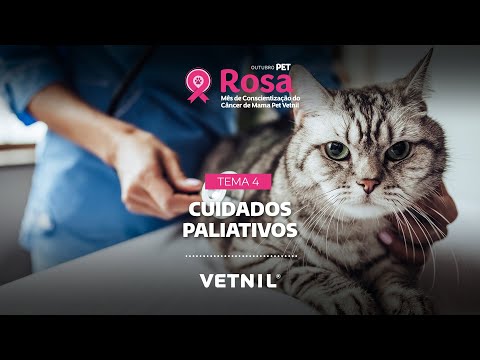 Outubro Pet Rosa - Tema 4