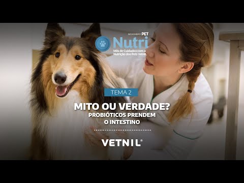 Novembro Pet Nutri - Tema 2