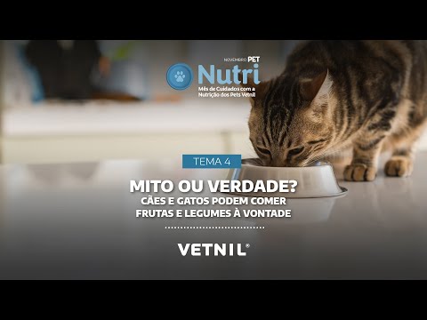 Novembro Pet Nutri – Tema 4