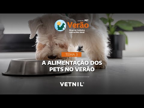 Janeiro Pet Verão - Tema 3